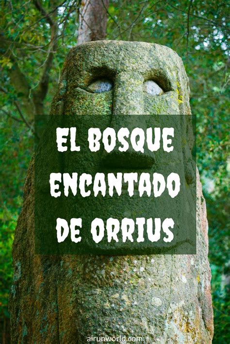 bosque encantado de orrius|Excursión al Bosque Encantado de Orrius 